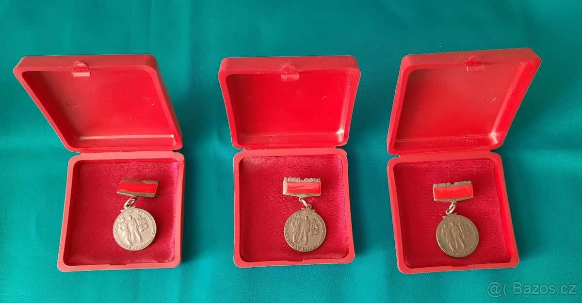 Bronzový odznak BSP 3