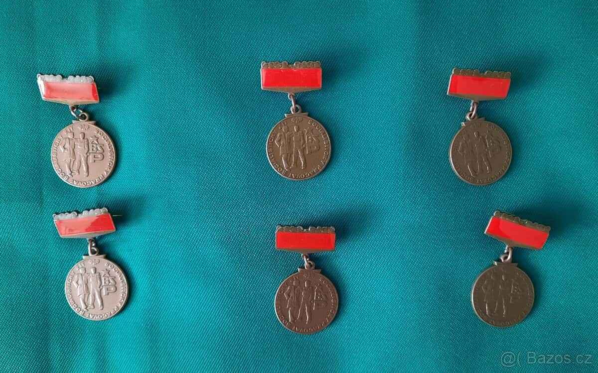 Bronzový odznak BSP 5