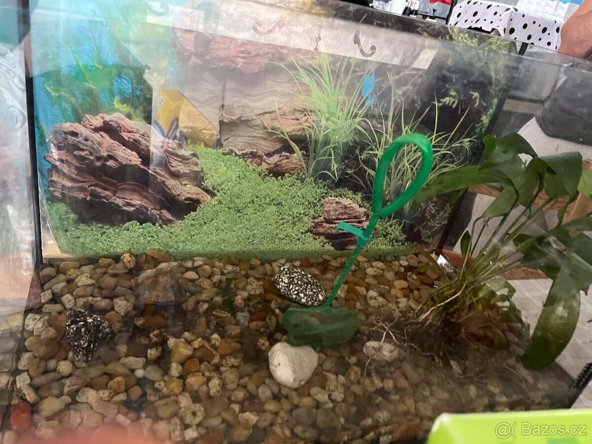 Akvárium 60l 2