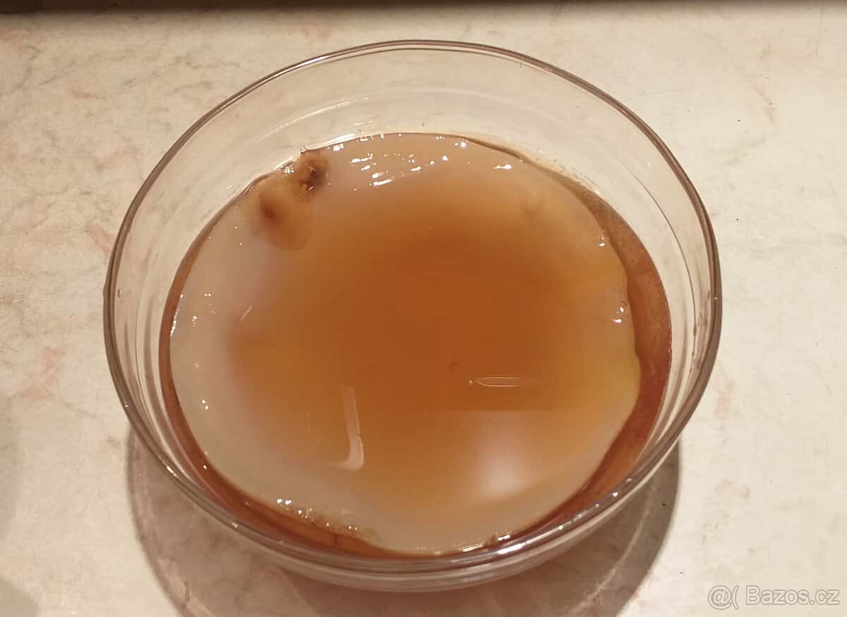 Kombucha 1