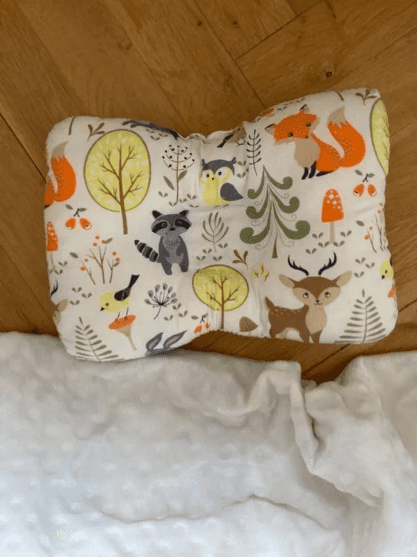 Set polštářku a dečky 3