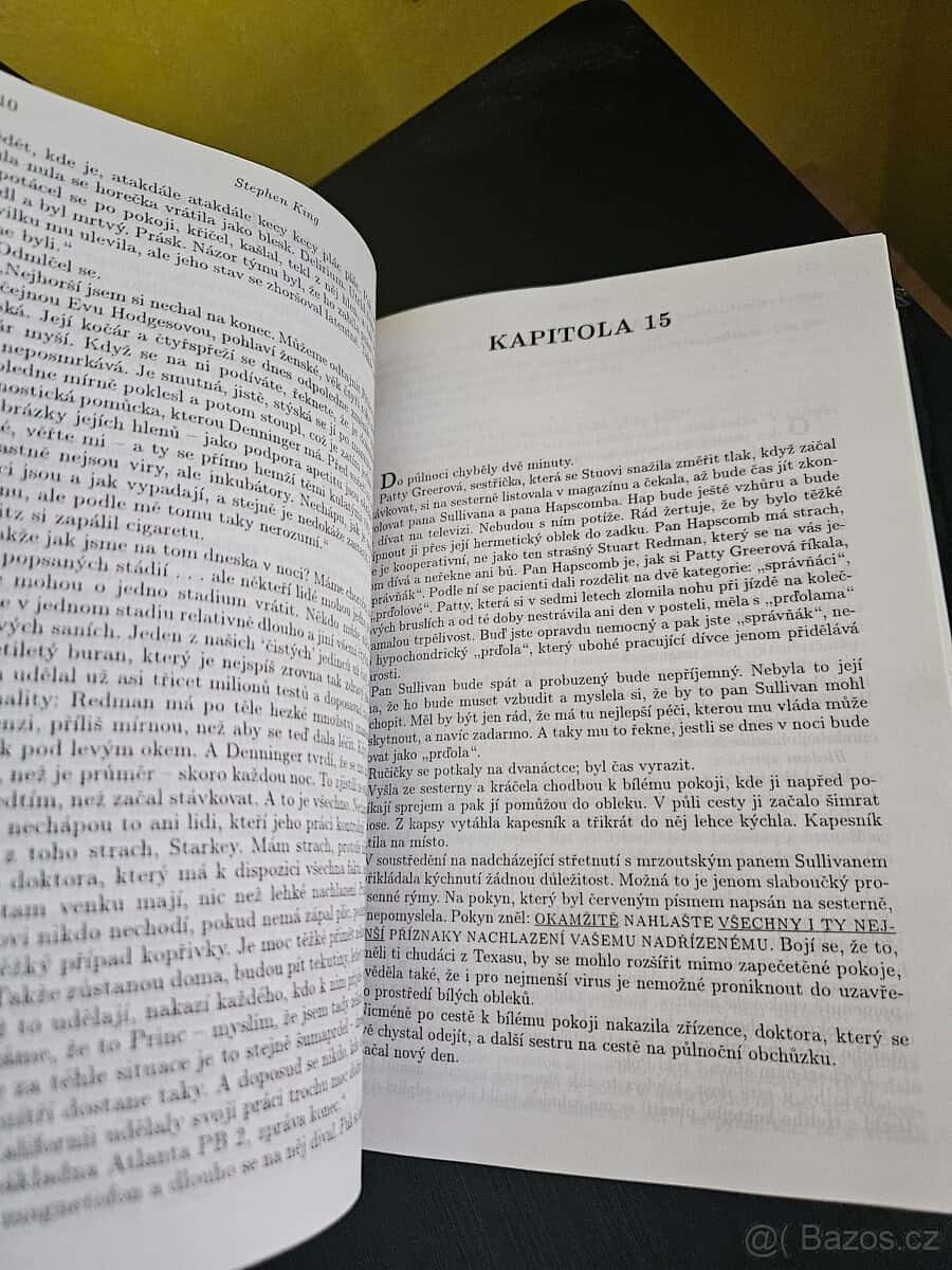 Svědectví Stephen King 4