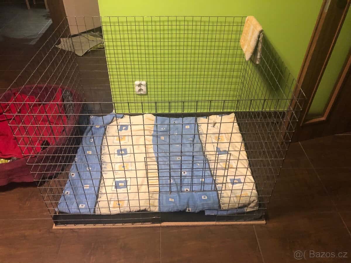 Klec pro psa 3