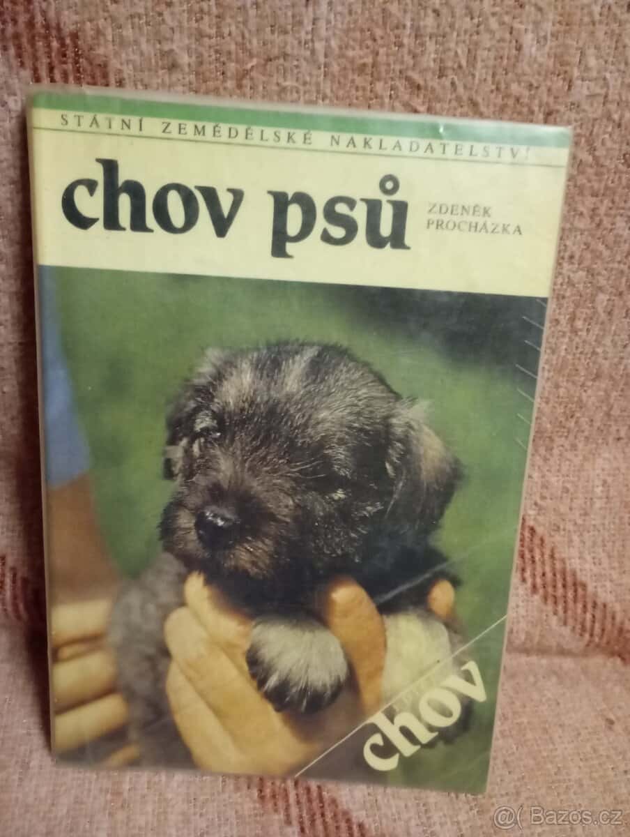 Chov psů 1