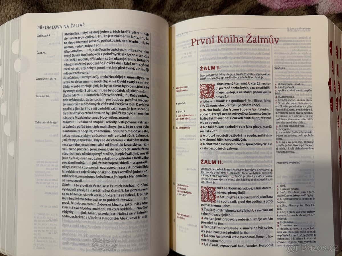 Bible Kralická 5