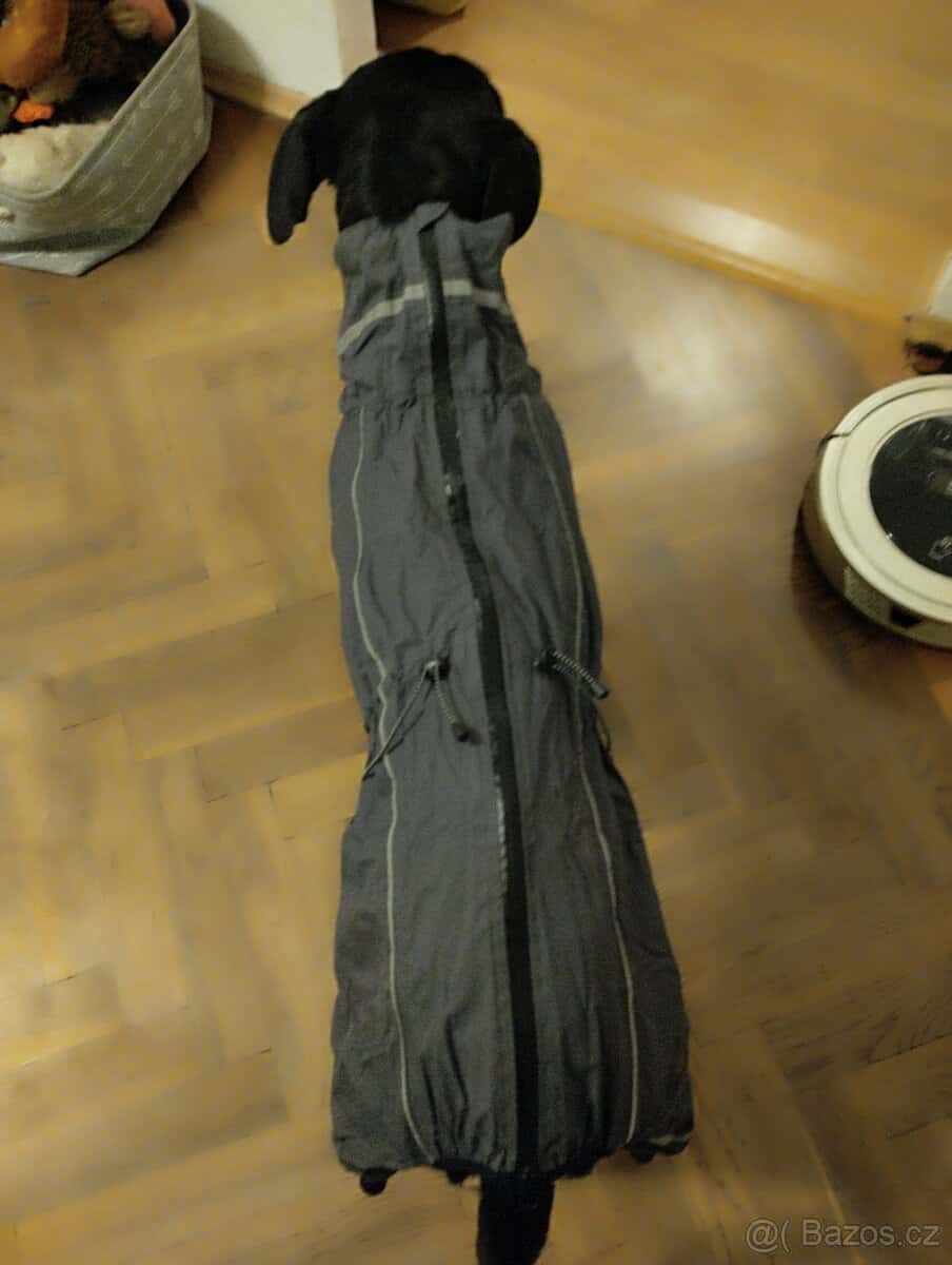 Obleček pro psa 3