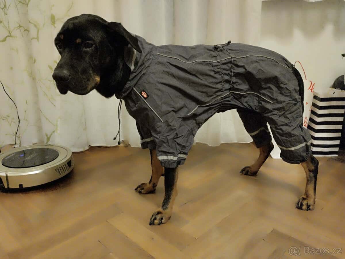 Obleček pro psa 5
