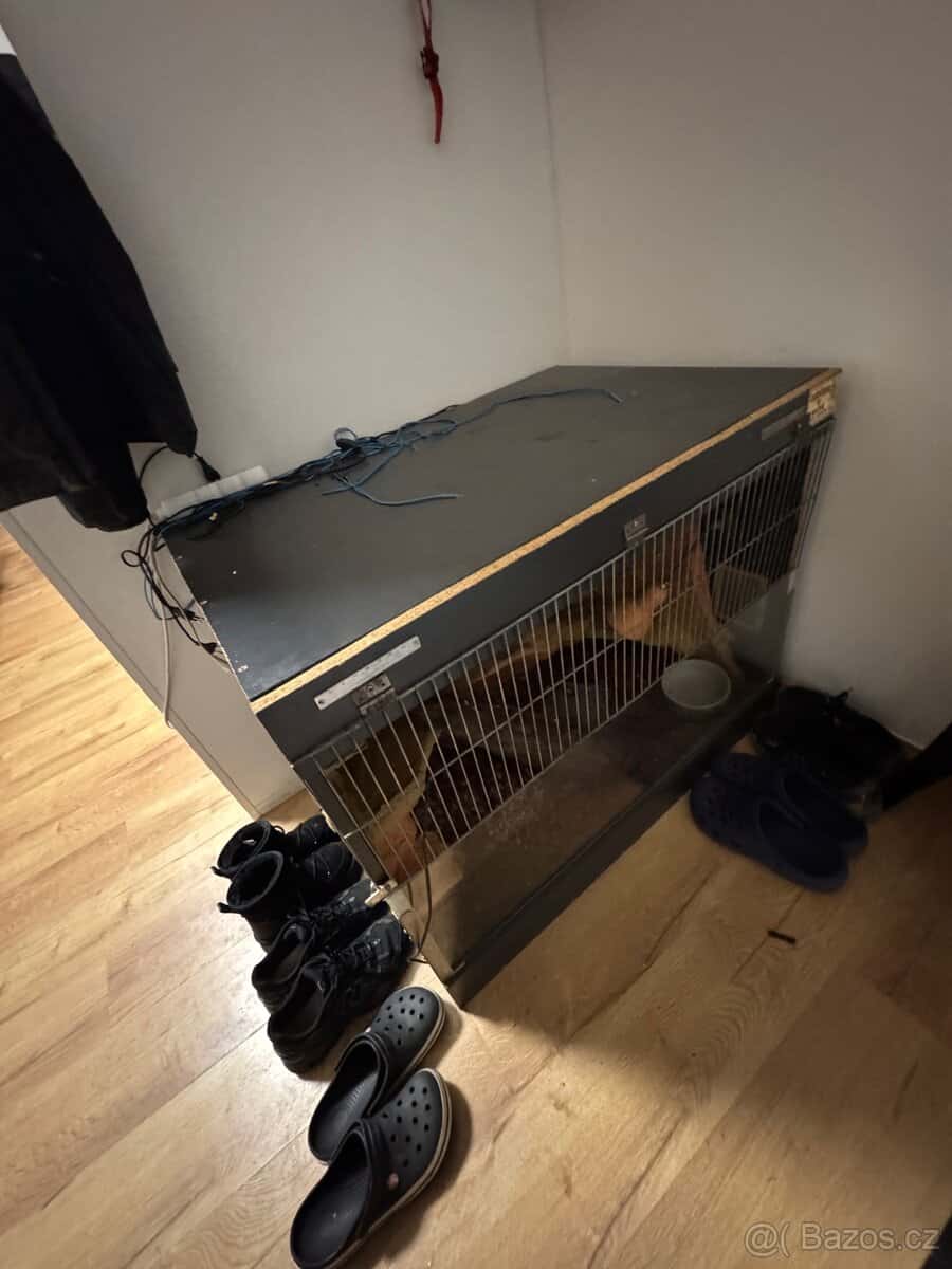 Terárium na Ještěra 4