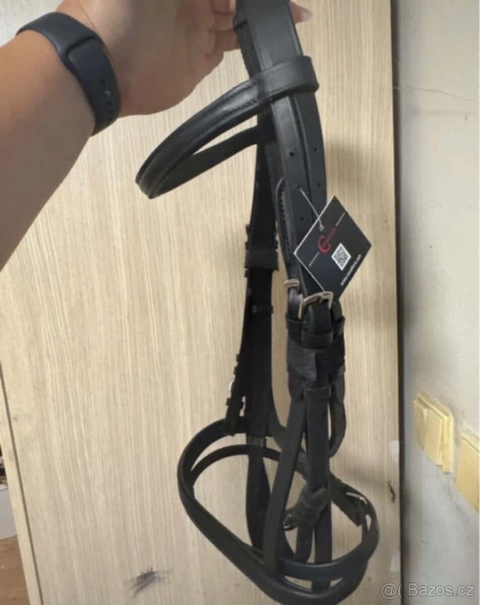 Uzdecka Cob a shetty 2