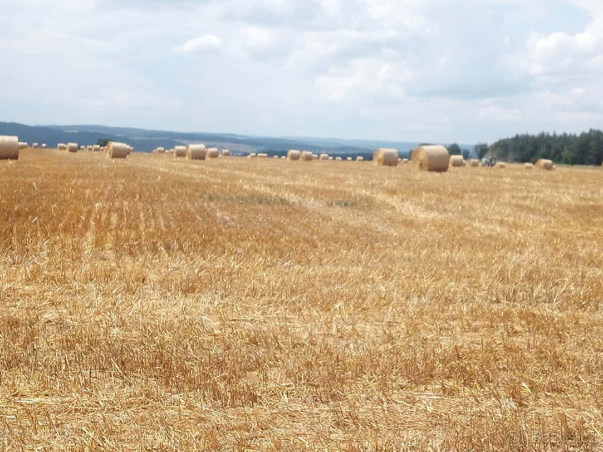 Sláma kulaté balíky 2