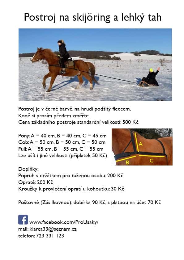 Postroj pro koně 2