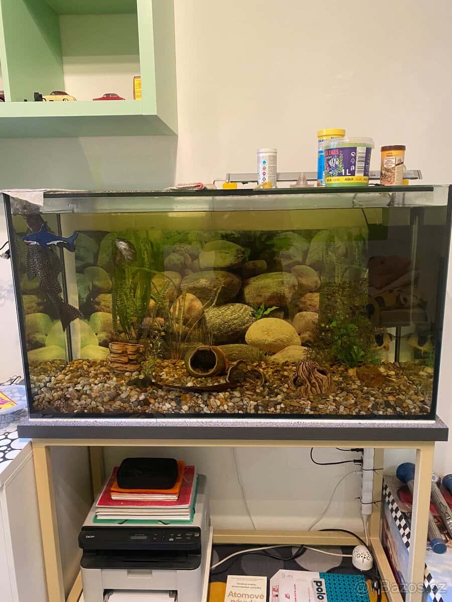 Akvárium 1