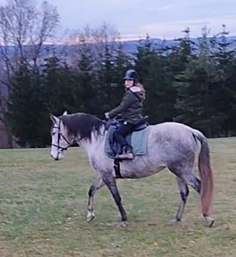 Lusitano kobyla 11