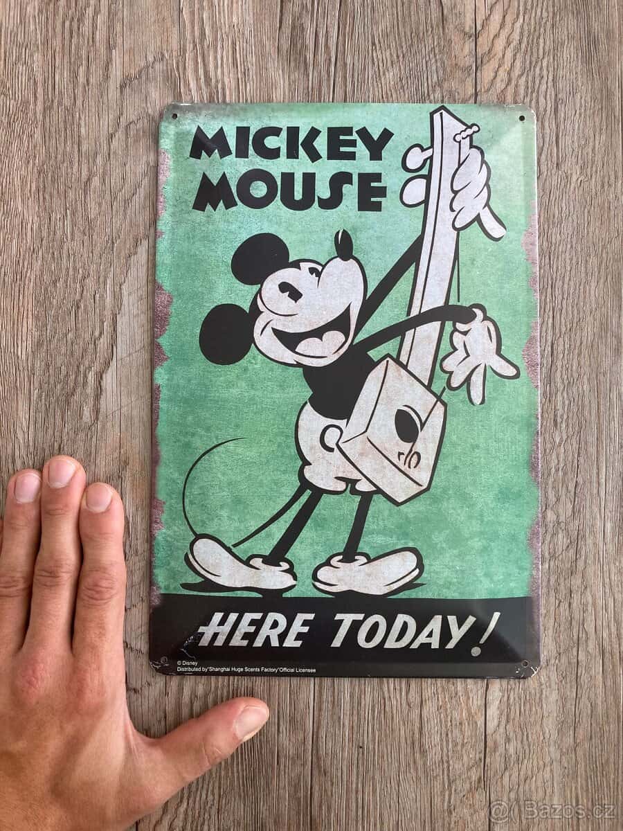 Cedulka Mickey Mouse 2