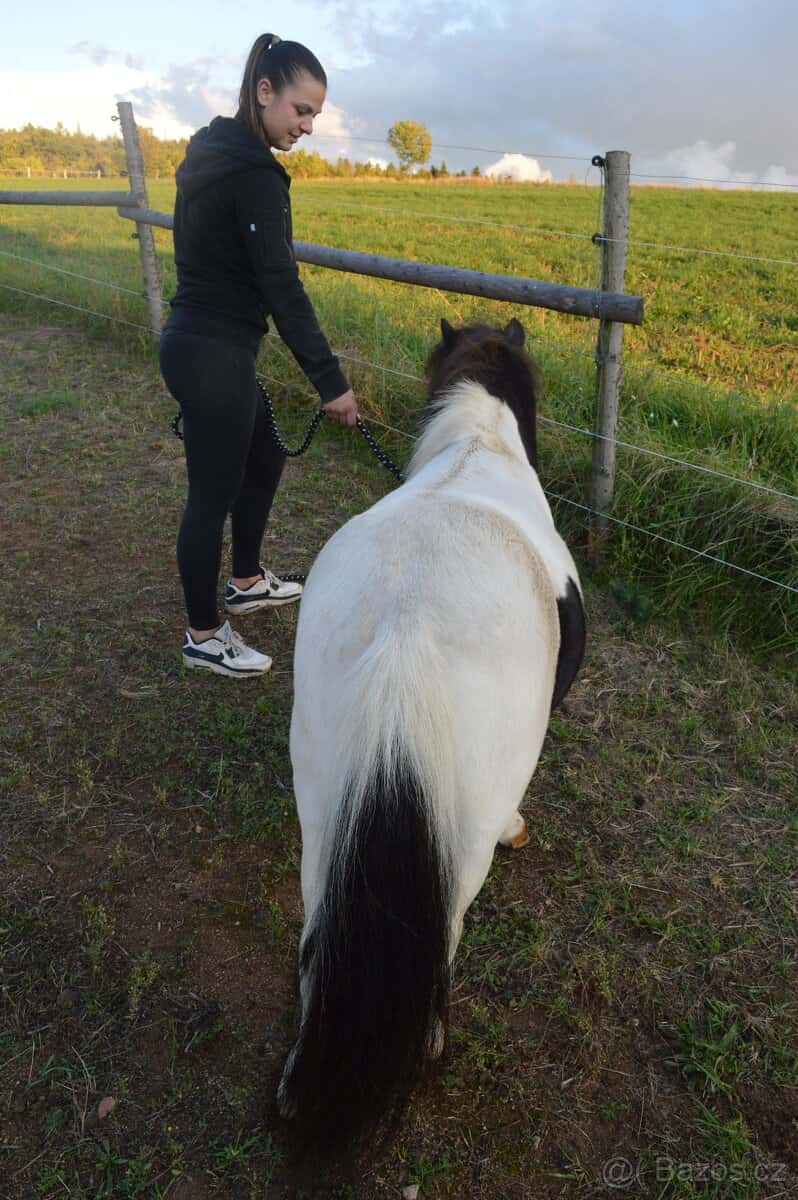 Prodej Pony 5