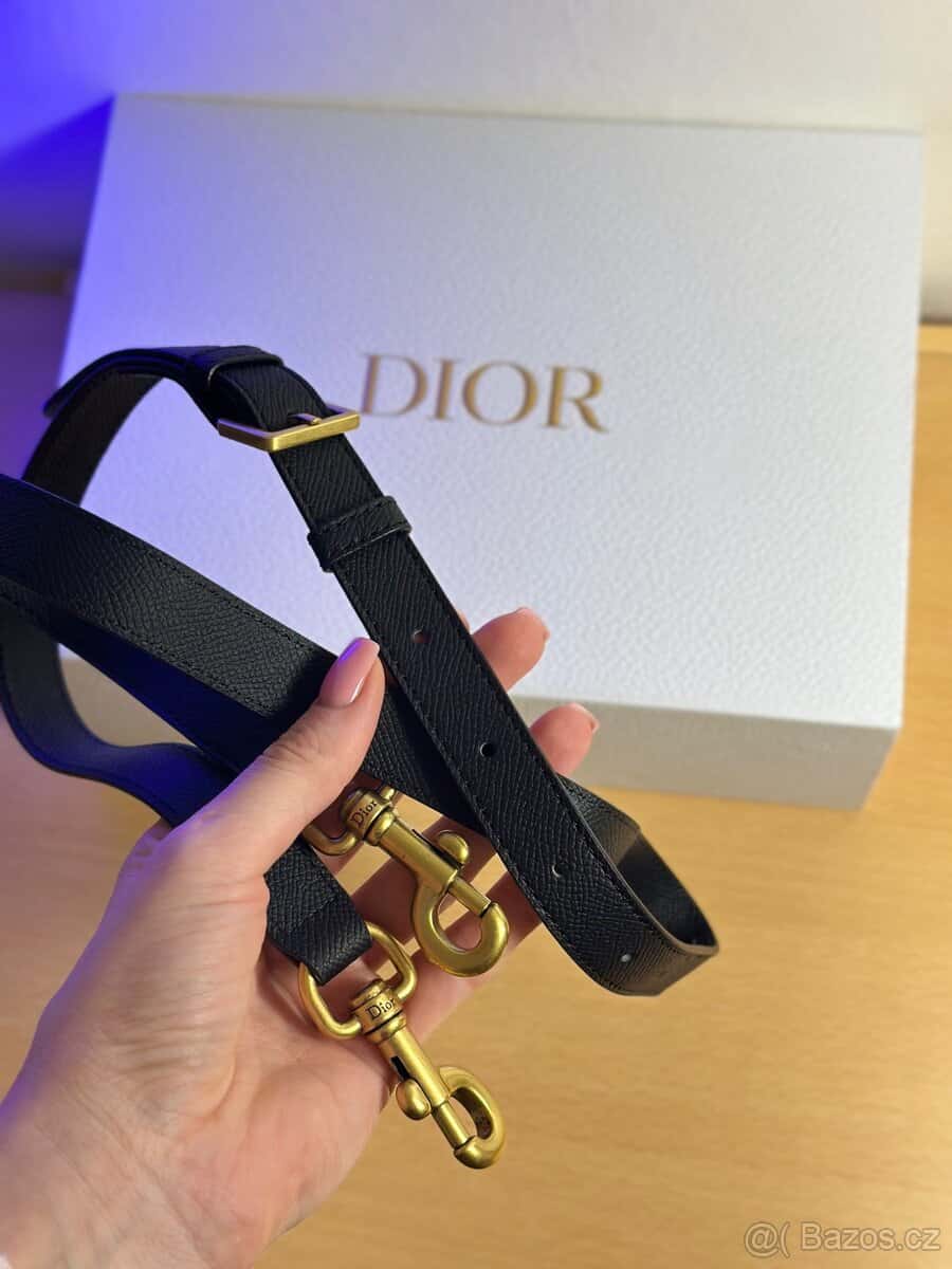Kabelka Dior Saddle 6