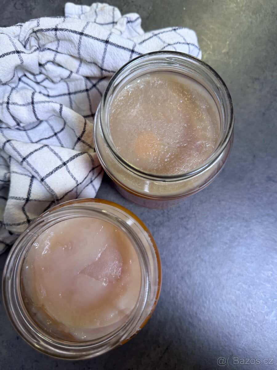 Kombucha 3