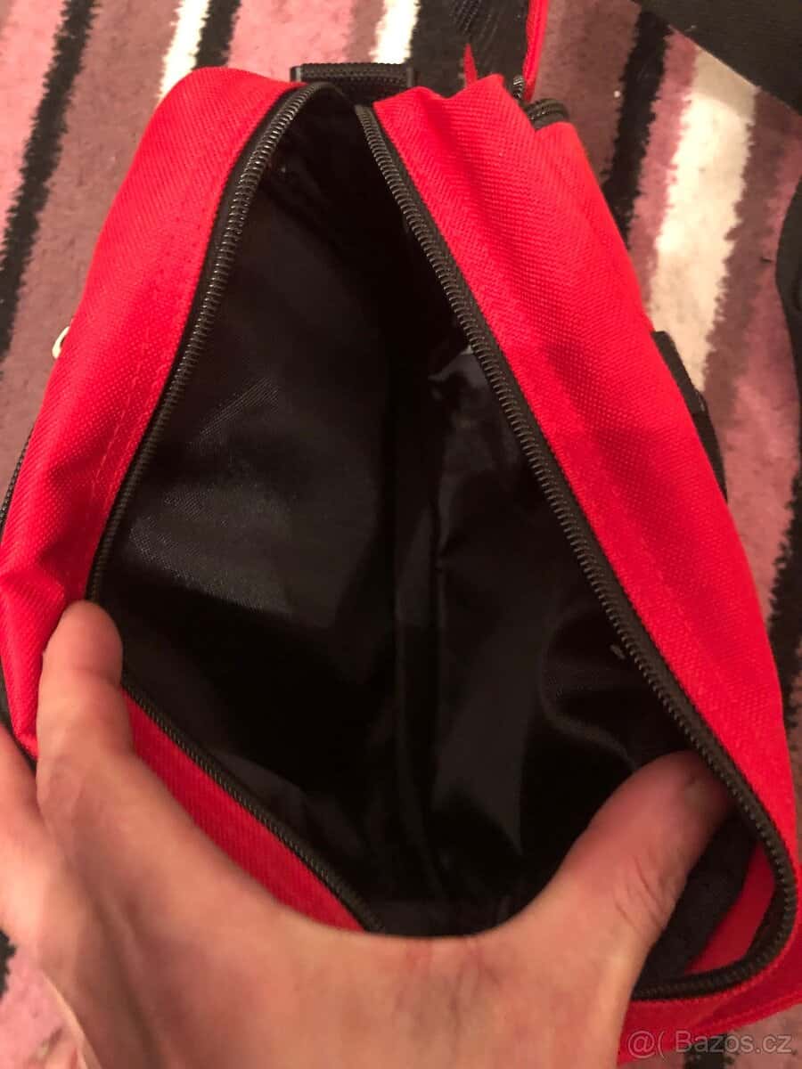 Ledvinka/taštička 6