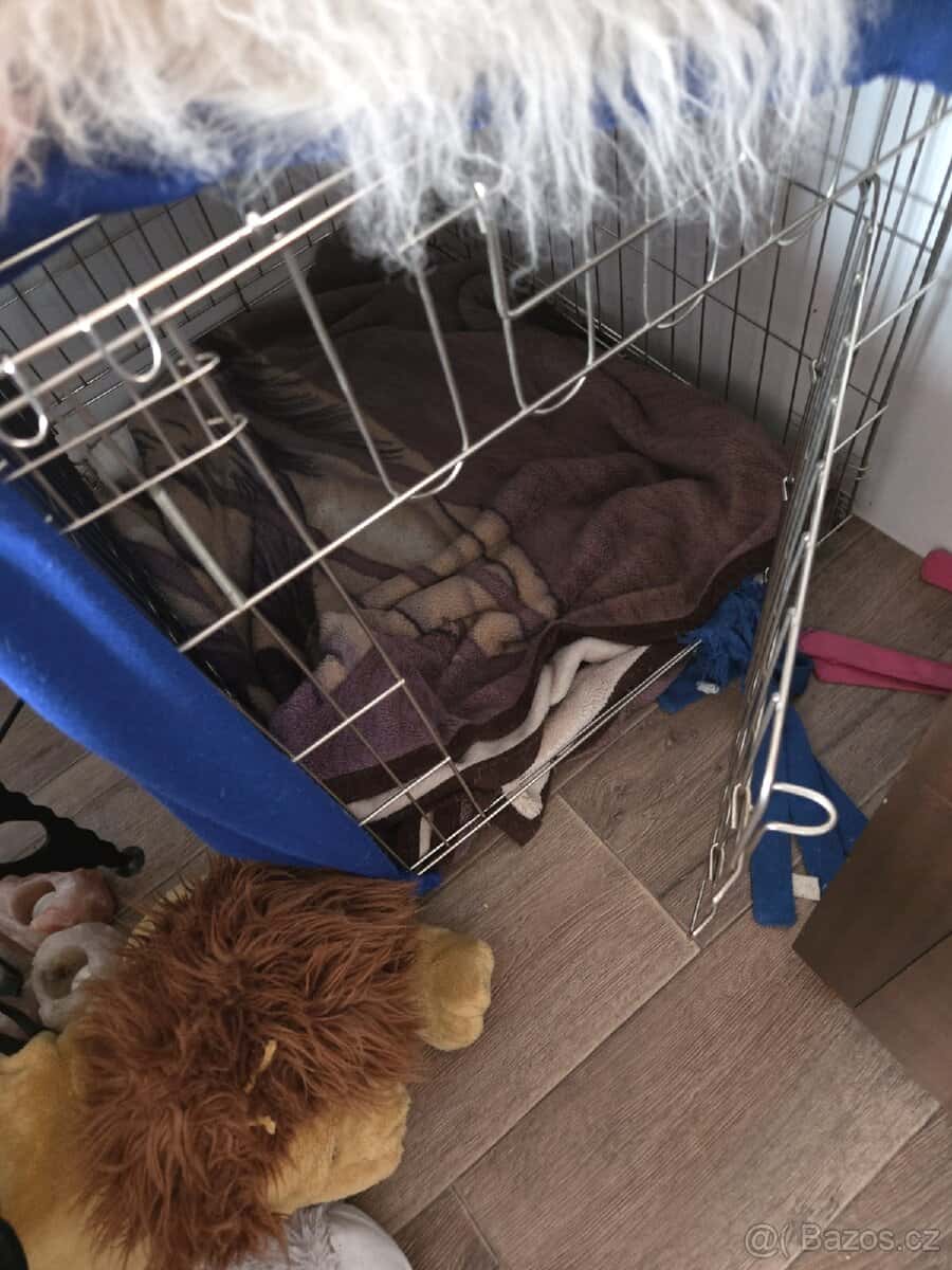 Klec pro psa 1