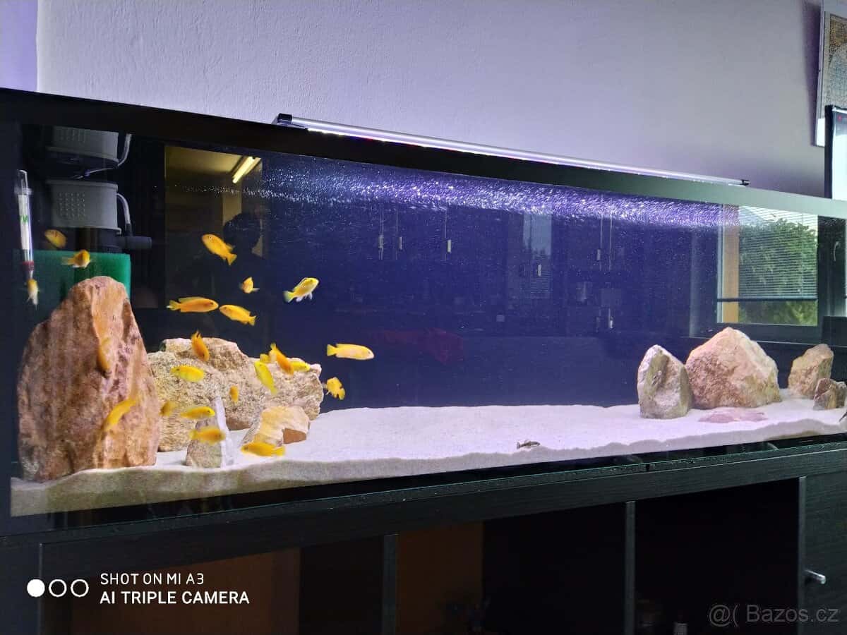 Terárium/Akvárium 4