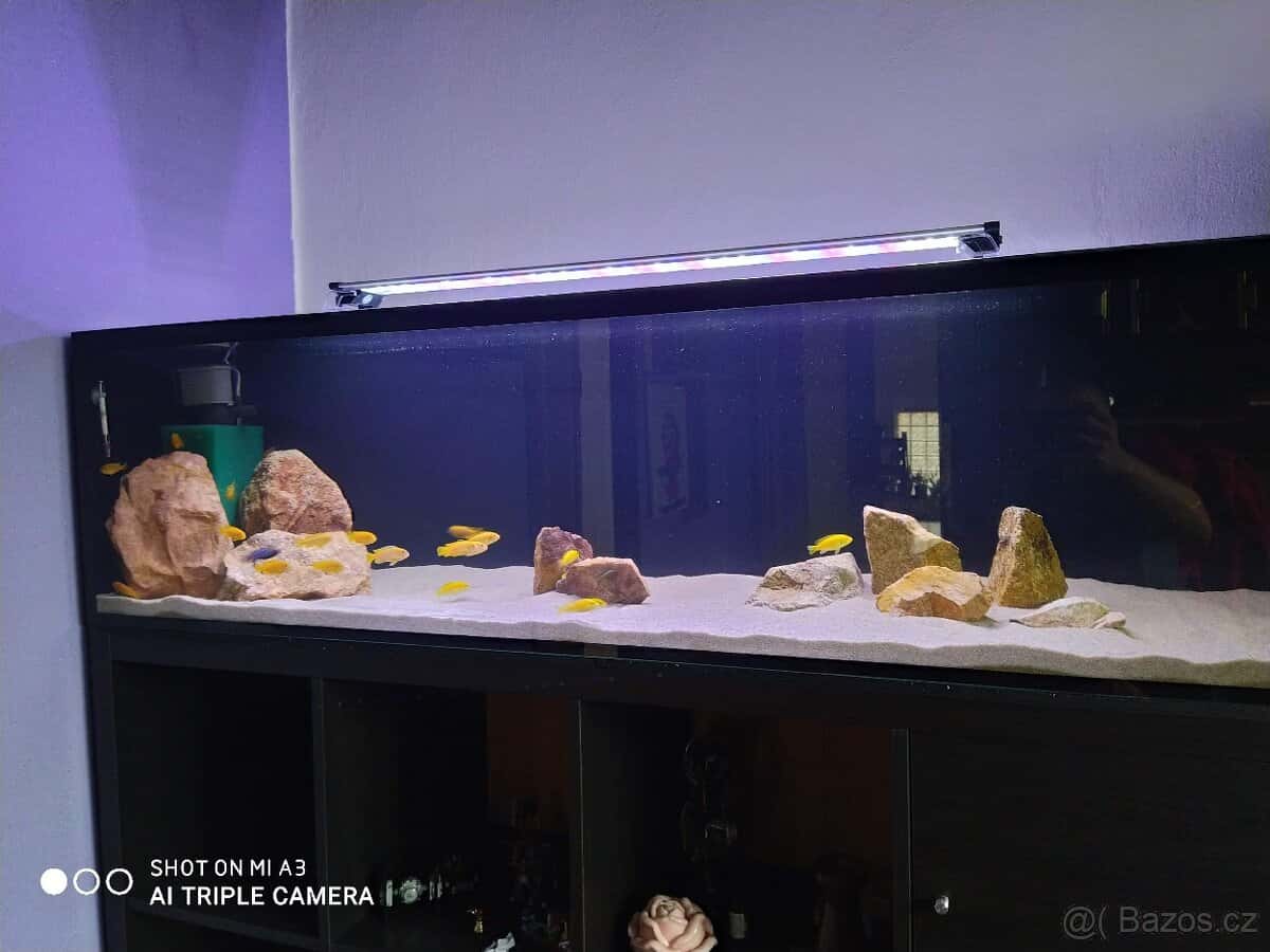 Terárium/Akvárium 5