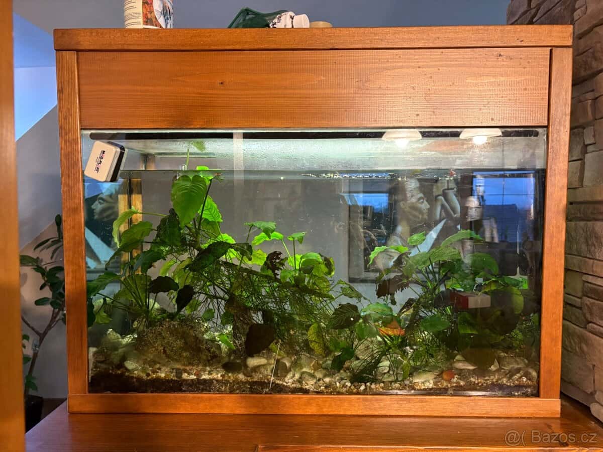 Akvárium s rámem 1