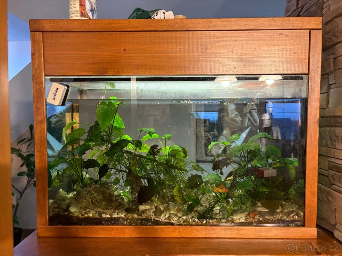 Akvárium s rámem 3