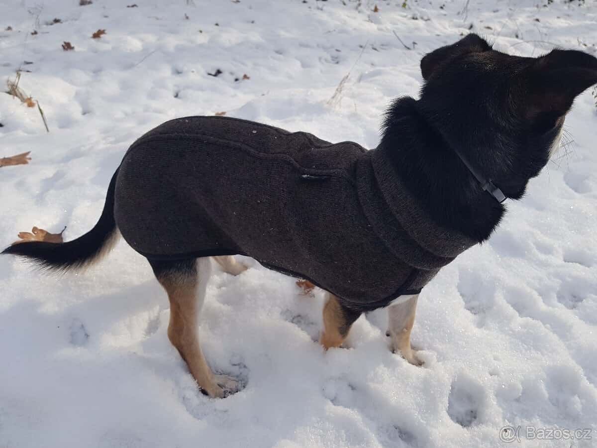 Psí obleček 7