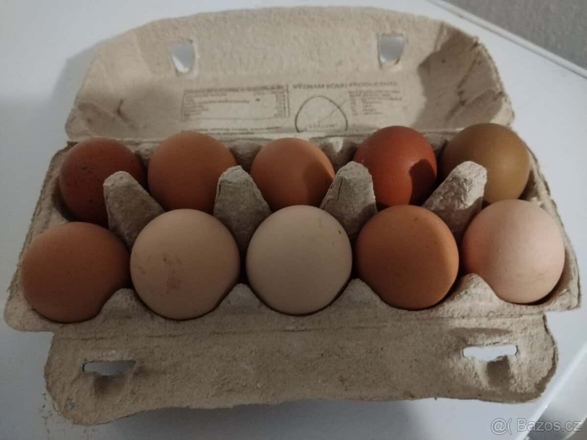 Domácí vejce 3