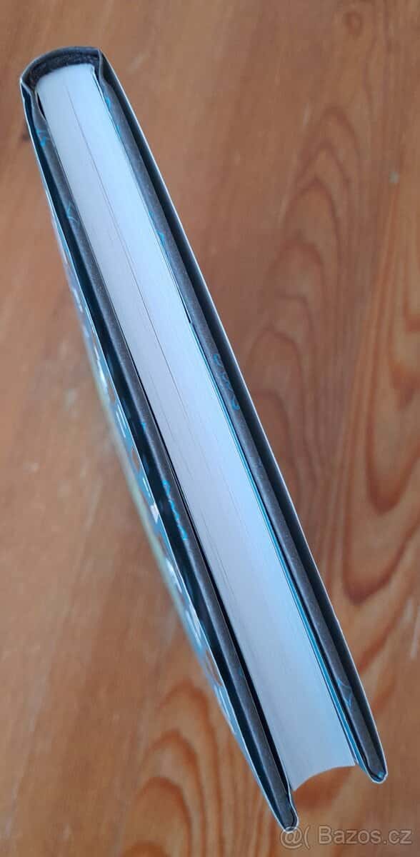 Dula, Michal Viewegh 4