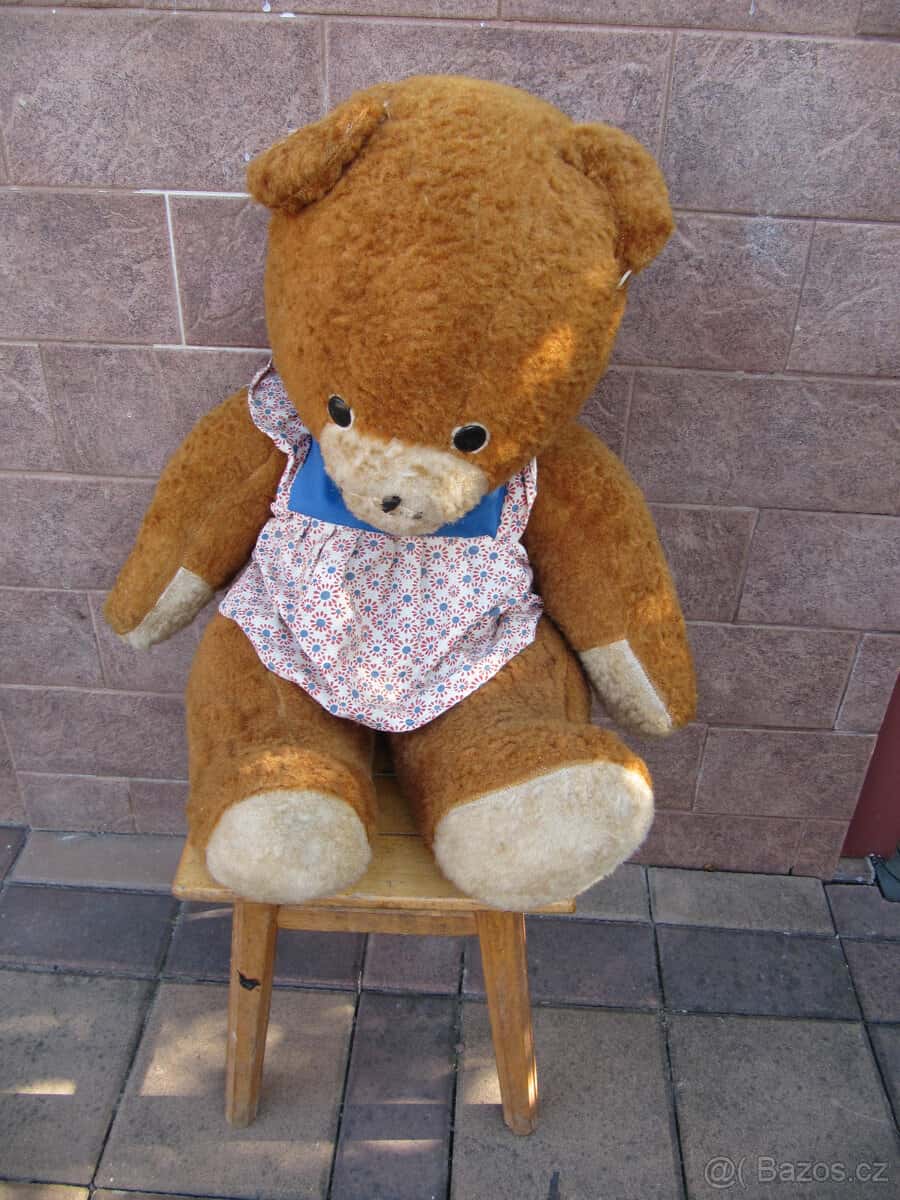medvěd v šatech 1
