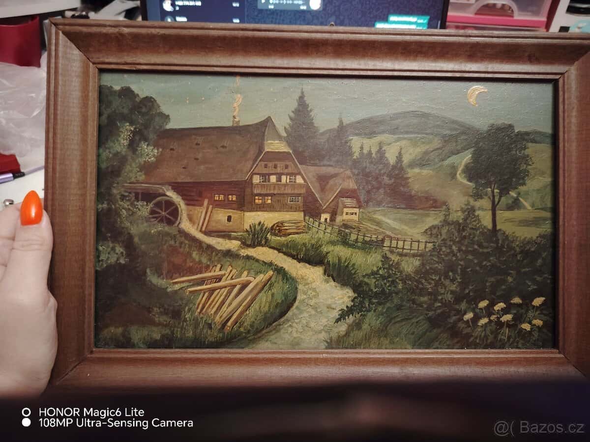Prodám obraz 2