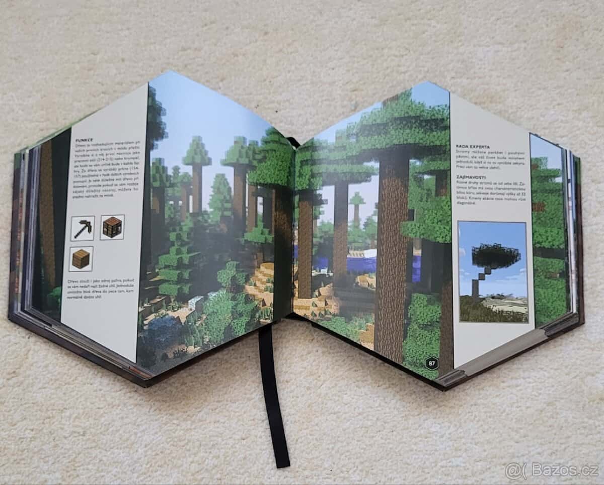 Minecraft kniha 5