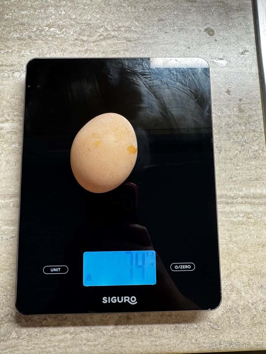 Domácí vajíčka 5