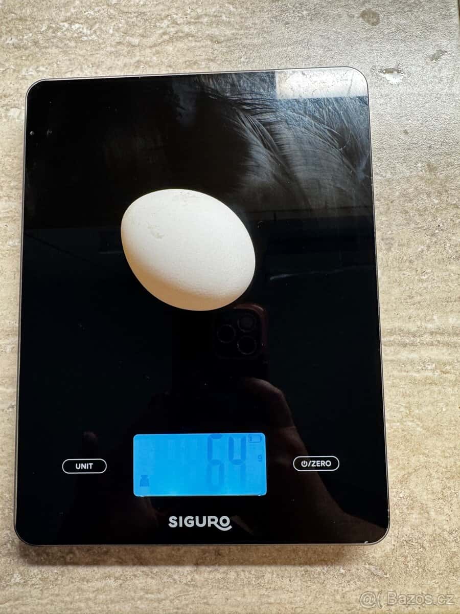 Domácí vajíčka 6