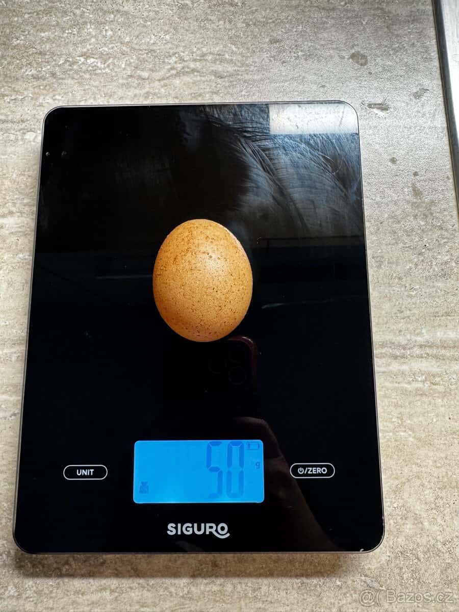 Domácí vajíčka 7