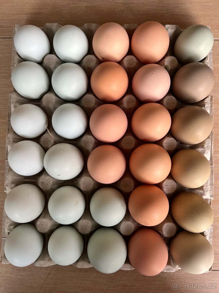Domácí vajíčka 1