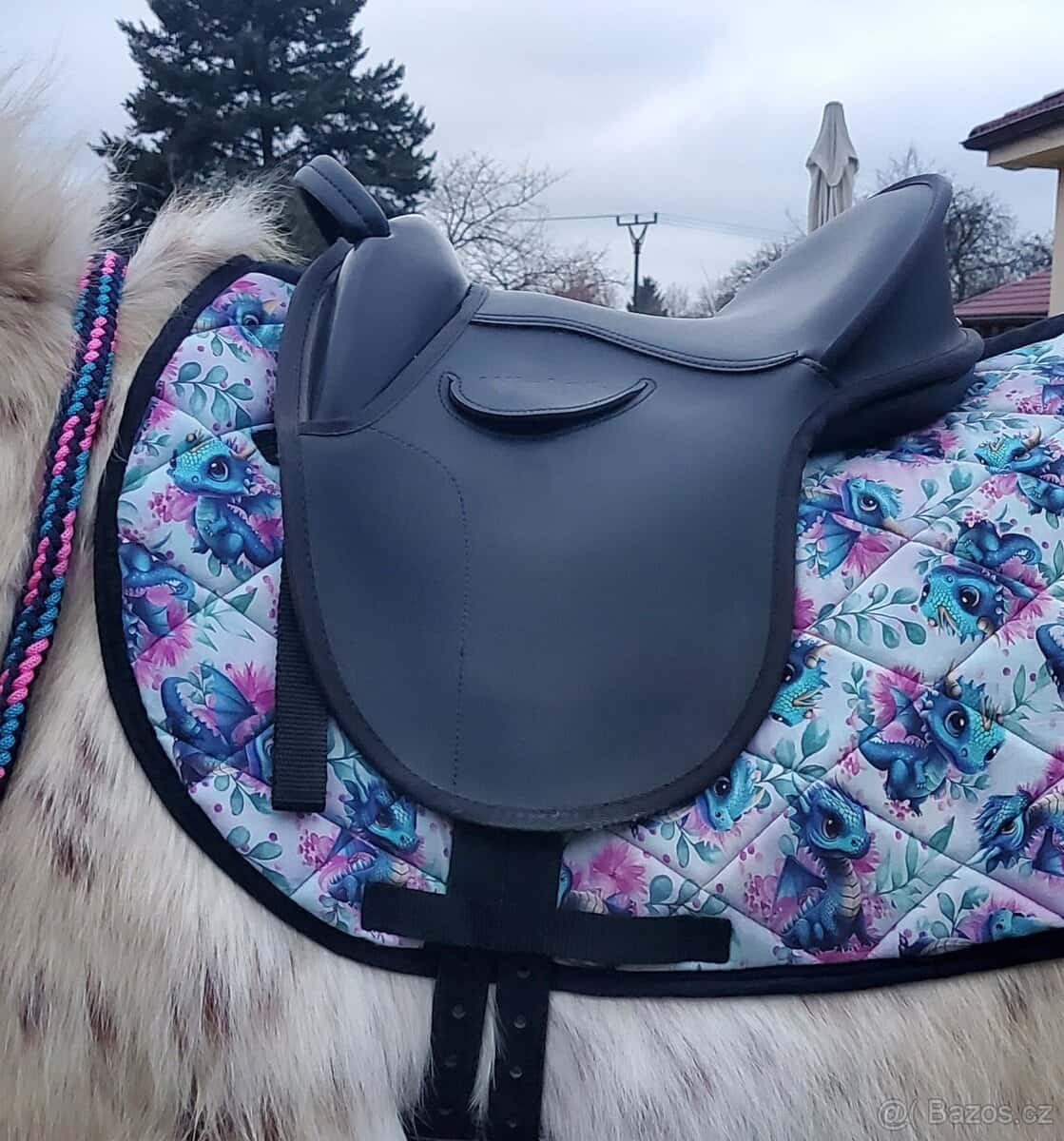 Shetty sada s draky 2