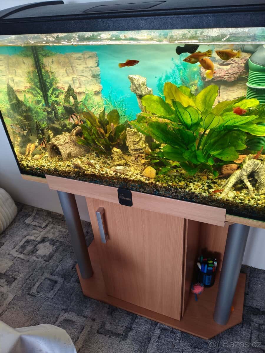 Prodej akvarijního setu 1