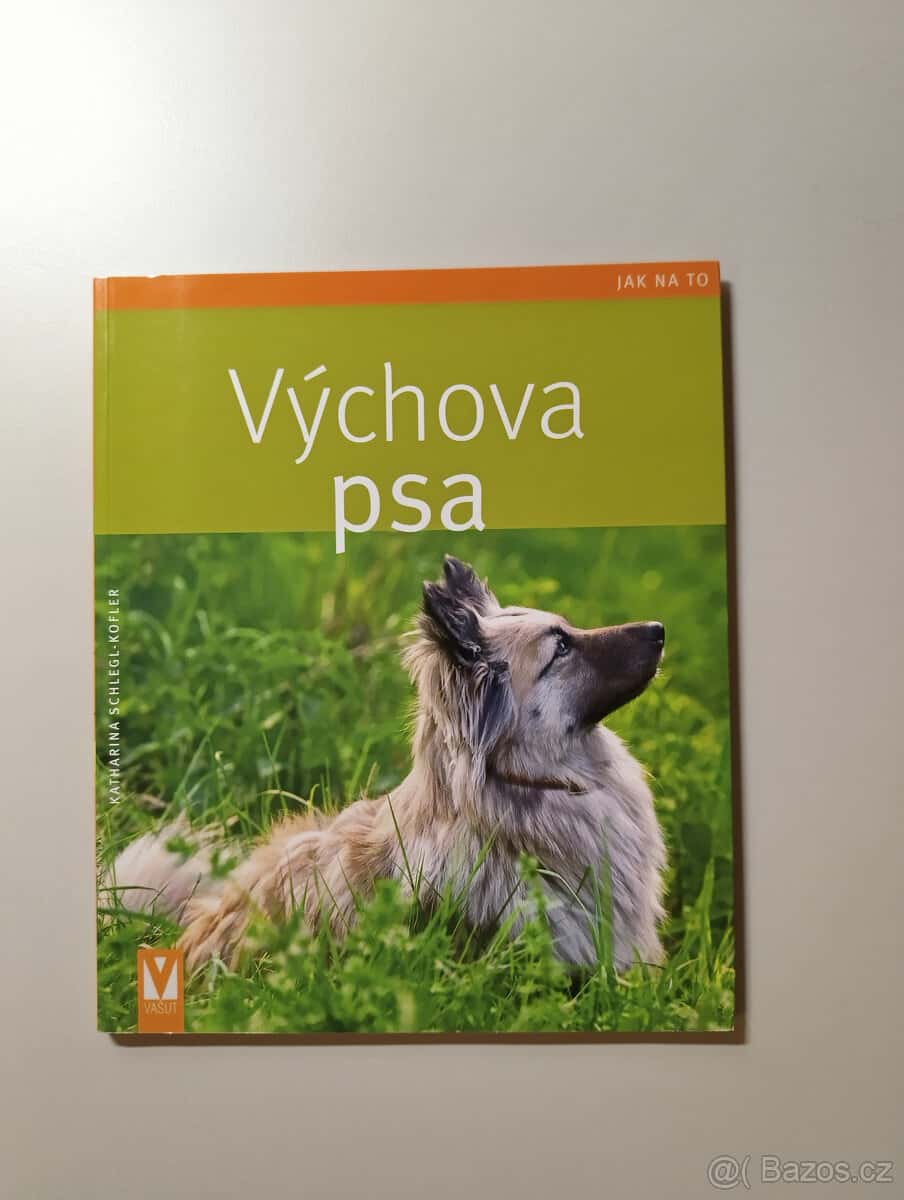 Výchova psa 1