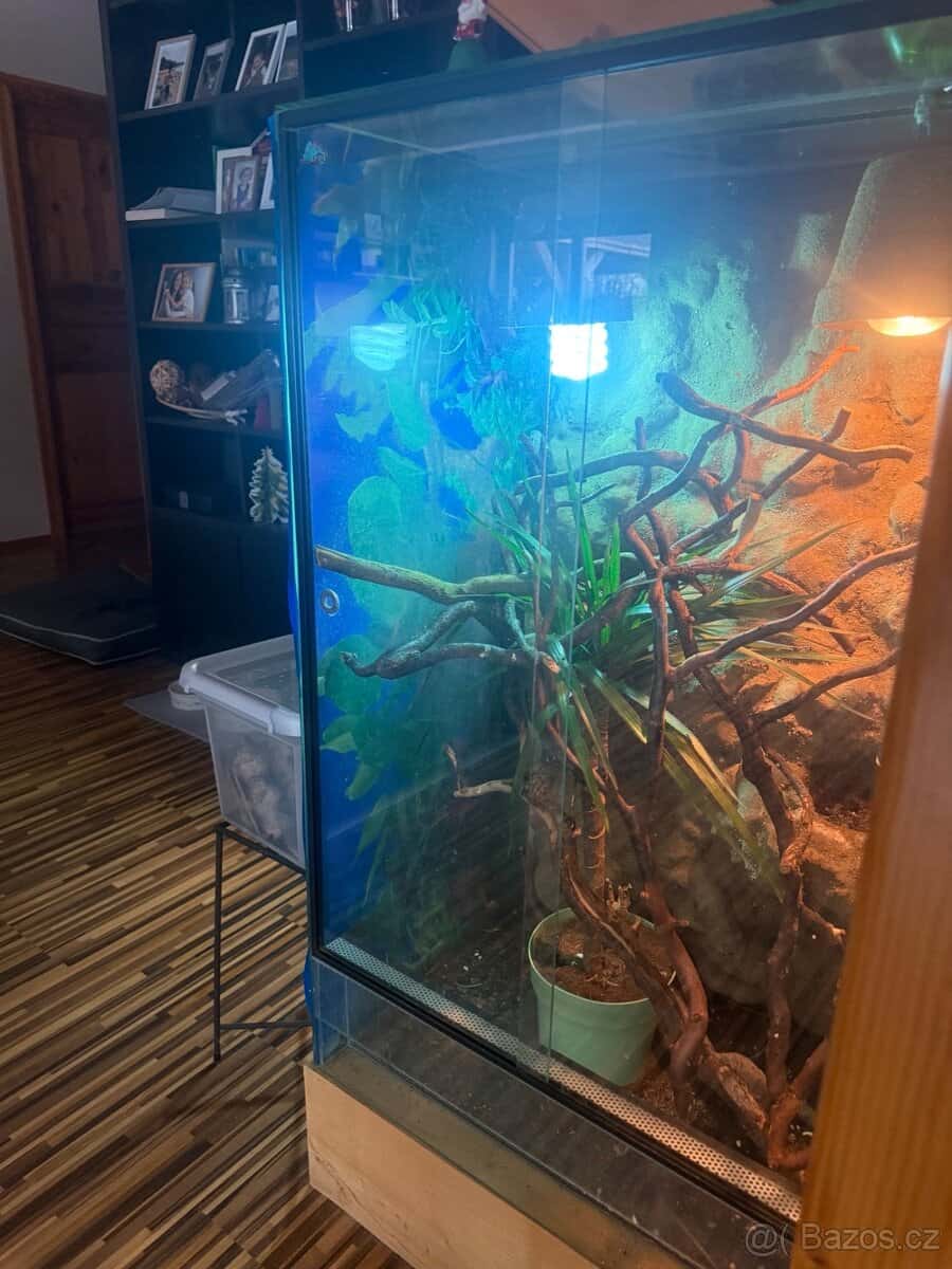 Prodám terárium 1