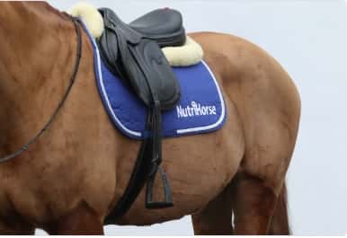 Sada Nutri Horse 2