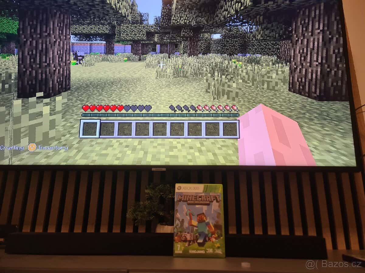 Minecraft xbox 360 6