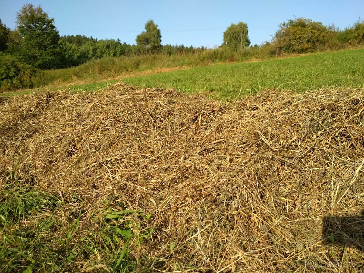 Prodám bio seno 5