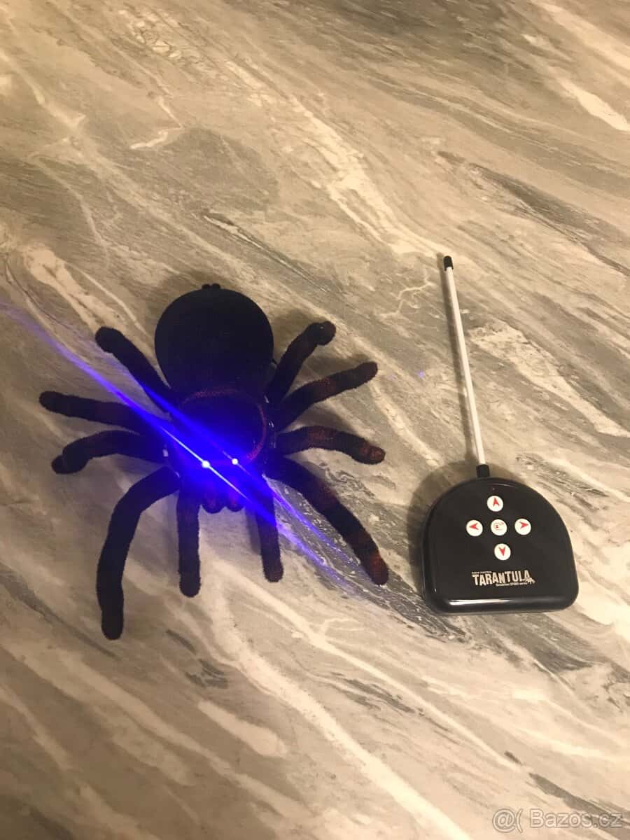 Prodám tarantuli 1