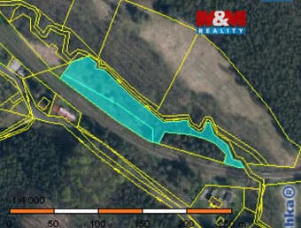 Prodej louky, 5874 m², Bakov nad Jizerou - Malý Rečkov