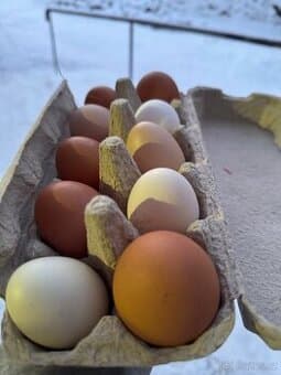 Domácí vajíčka