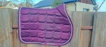 Podsedlova dečka PS of sweden