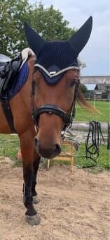 Čabraka Equestrian Stockholm FULL