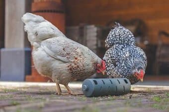 Zábavné krmítko – váleček pro slepice - Beeztees